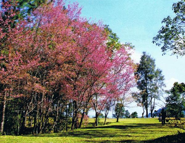 Pai River Mountain Resort Exterior photo